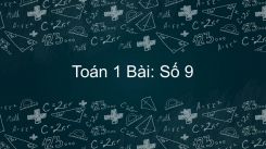Bài Số 9